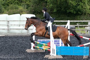 Class 3 -  Fences not above 2'3